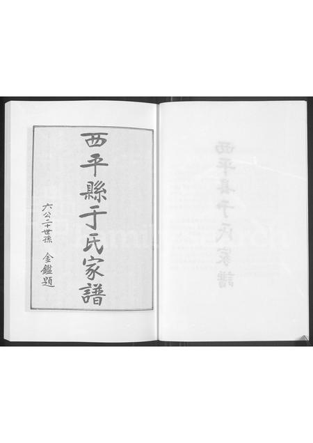 河南于氏族谱-西平县于氏家谱.pdf电子版插图5