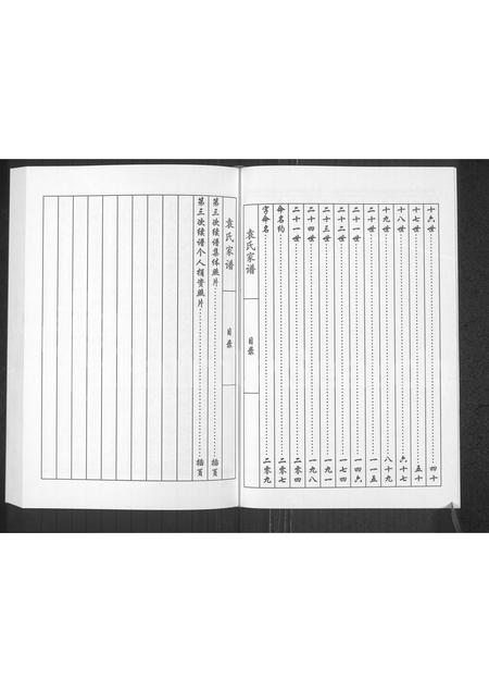 河南袁氏族谱-袁氏族谱.pdf电子版插图5