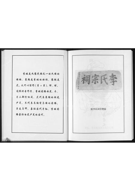 河南李氏族谱-李氏宗谱 _ 李氏,李大畈支系.pdf电子版插图5