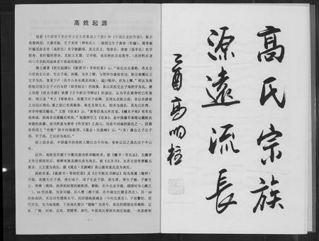河南高氏族谱-高氏族谱.pdf电子版插图5