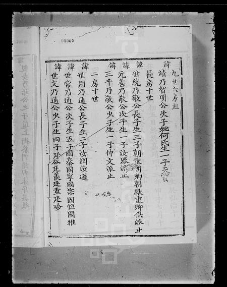 广东黄氏族谱-东粤宝安南头黄氏族谱 [上,下卷].pdf电子版插图5