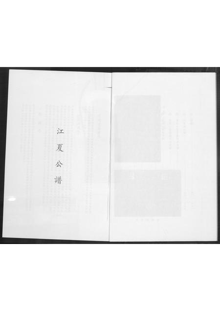 福建黄氏族谱-金水黄氏族谱.pdf电子版插图5
