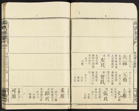 广东汤氏族谱-汤氏族谱 [残卷].pdf电子版插图5