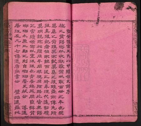 河南王氏族谱-王氏宗谱[10卷含首卷, 末1卷].pdf电子版插图5