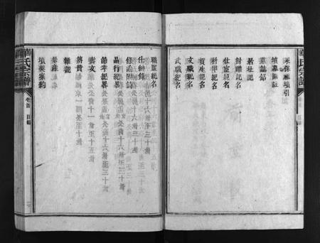 广东华氏族谱-武陵华氏宗谱 [11卷,及卷首].pdf电子版插图5