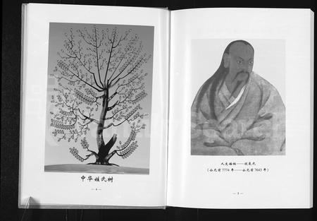 河南李氏族谱-沈丘县李楼村李氏族志.pdf电子版插图5