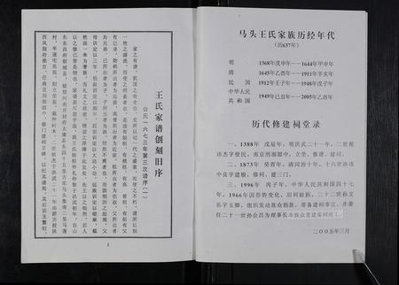 河南王氏族谱-太康马头王氏族谱 [不标卷数].pdf电子版插图5