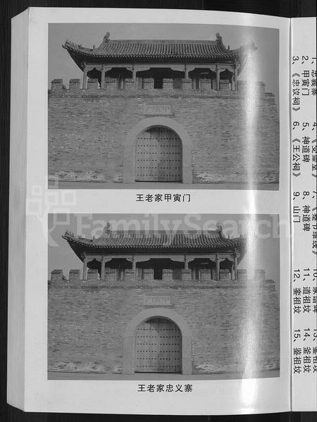 河南王氏族谱-王氏族谱 _ 太康支谱 [不分卷].pdf电子版插图5