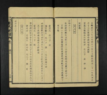 江西、福建巫氏族谱-丙戌六修巫氏房谱 [22卷,首1卷].pdf电子版插图5