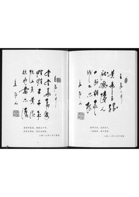河南王氏族谱-马圈王谱 _ 荥阳高山王氏支系.pdf电子版插图5