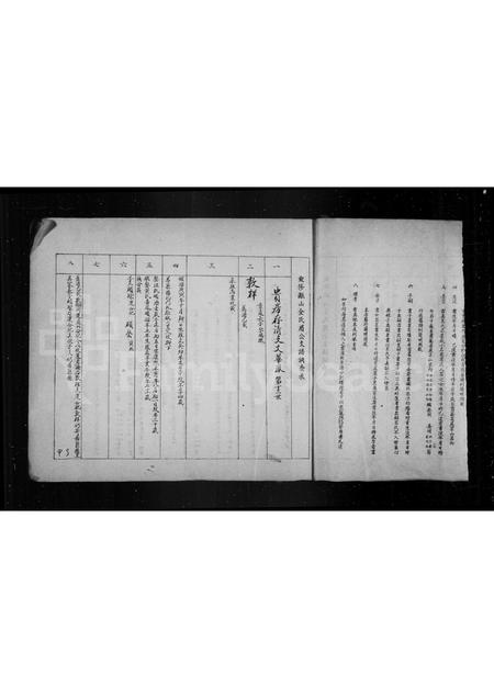 安徽金氏族谱-瓯山金氏迁庐支谱表.pdf电子版插图5