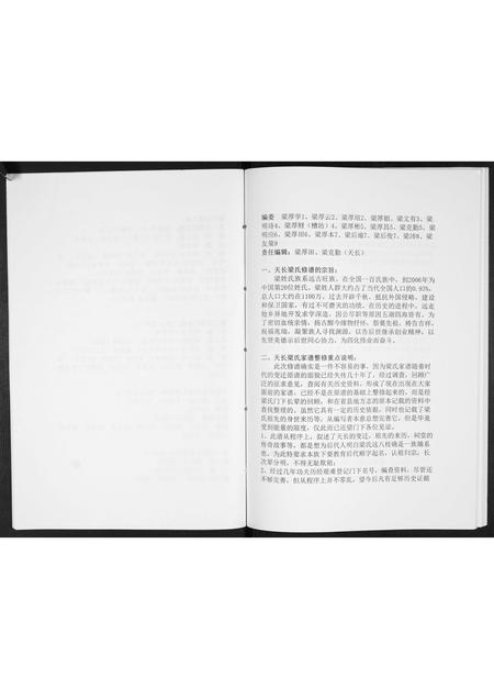 安徽梁氏族谱-梁氏家谱[不分卷].pdf电子版插图5