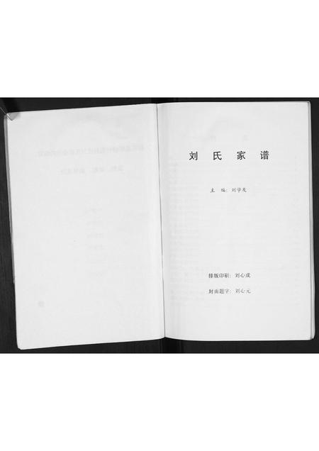 安徽刘氏族谱-刘氏家谱[不分卷].pdf电子版插图5