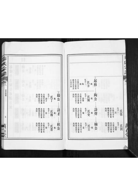 安徽秦氏族谱-秦氏宗谱.pdf电子版插图5