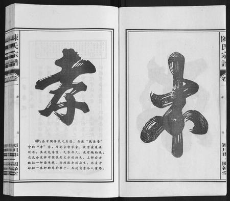 安徽陈氏族谱-陈氏宗谱.pdf电子版插图5