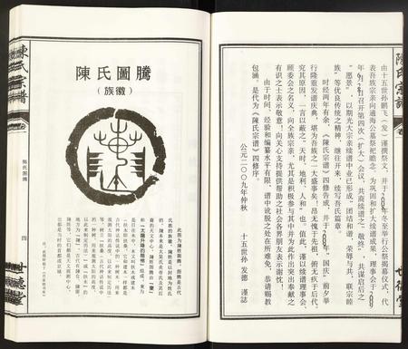 安徽陈氏族谱-陈氏宗谱.pdf电子版插图5