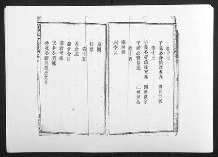 安徽程氏族谱-程仲文公支谱[15卷首1卷].pdf电子版插图5