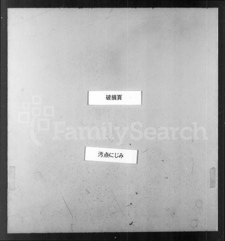 安徽胡氏族谱-清华胡氏文敏公宗谱 [19卷,首末各1卷].pdf电子版插图5