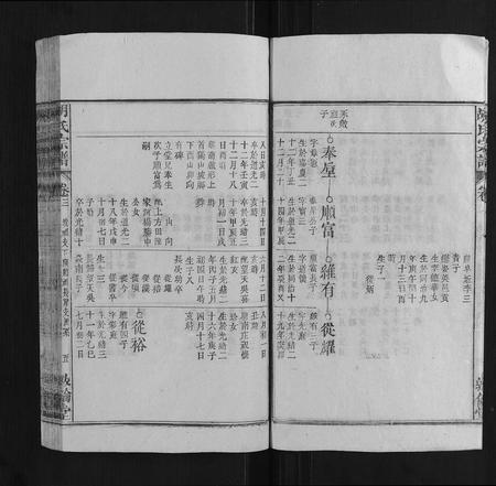 安徽胡氏族谱-胡氏宗谱.pdf电子版插图5