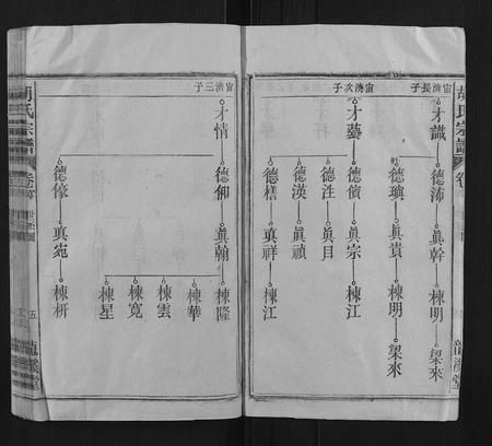 安徽胡氏族谱-胡氏宗谱.pdf电子版插图5