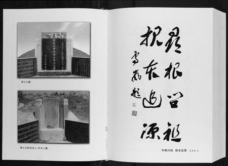 安徽唐氏族谱-唐氏宗谱.pdf电子版插图5