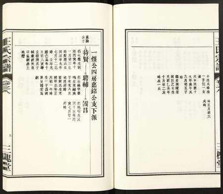 安徽王氏族谱-王氏宗谱.pdf电子版插图5