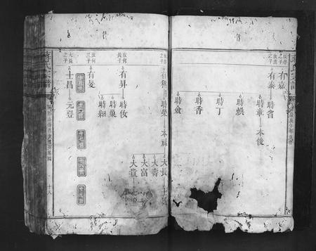 福建蒋氏族谱-蒋氏宗谱.pdf电子版插图5 福建蒋氏族谱-蒋氏宗谱.pdf电子版插图5