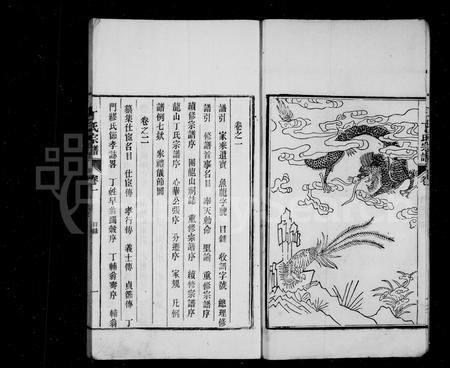 安徽丁氏族谱-龙山丁氏族谱 [12卷].pdf电子版插图5