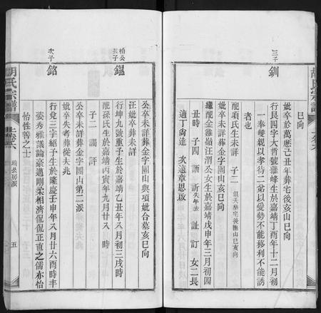 安徽胡氏族谱-胡氏宗谱 [上22卷,下4卷].pdf电子版插图5