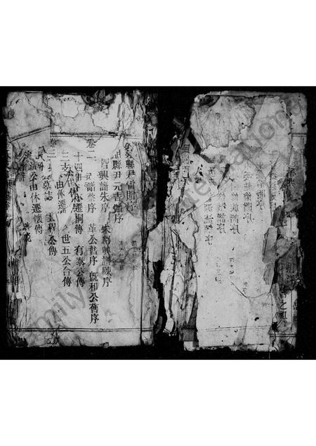 安徽金氏族谱-京兆金氏支谱.pdf电子版插图5