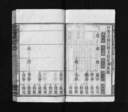 安徽李氏族谱-太湖李氏融庵公族谱 [9卷,首4卷].pdf电子版插图5