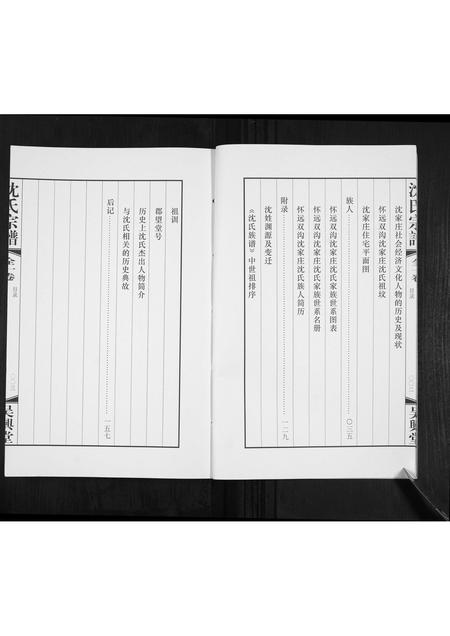 安徽沈氏族谱-沈氏宗谱[全1卷].pdf电子版插图5