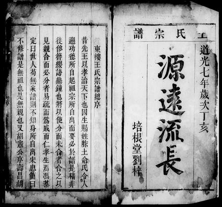 安徽王氏族谱-东楼王氏宗谱 [9卷].pdf电子版插图5