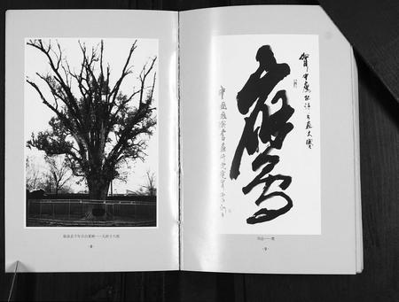 安徽韦氏族谱-临泉县韦应村韦氏谱志.pdf电子版插图5