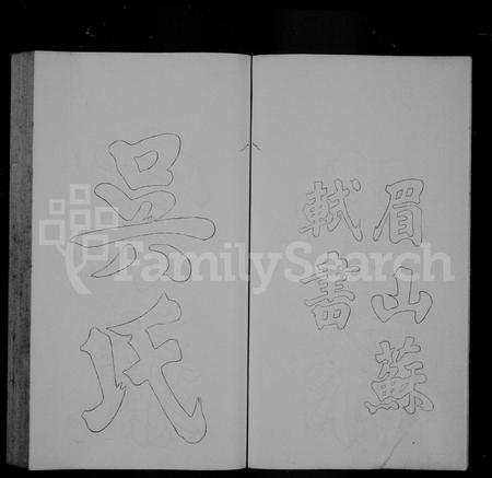安徽吴氏族谱-茂林吴氏支谱.pdf电子版插图5