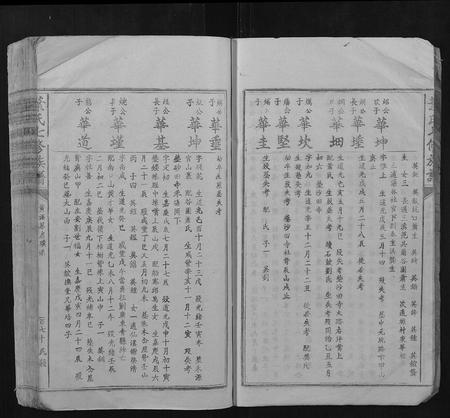 江西叶氏族谱-叶氏七修族谱.pdf电子版插图5