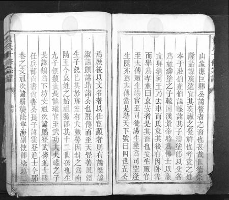 江西袁氏族谱-袁氏十修族谱[不分卷].pdf电子版插图5