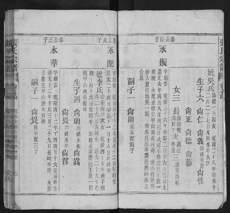 安徽张氏族谱-张氏宗谱.pdf电子版插图5