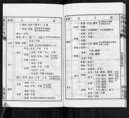 安徽张氏族谱-张氏宗谱.pdf电子版插图5