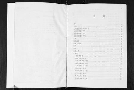 安徽张氏族谱-张氏宗谱.pdf电子版插图5