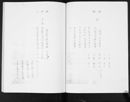 安徽张氏族谱-张氏家谱.pdf电子版插图5
