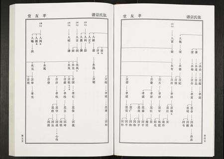 安徽张氏族谱-张氏家谱禄公支系.pdf电子版插图5