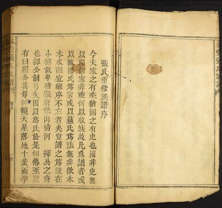 江西张氏族谱-永丰张氏族谱.pdf电子版插图5