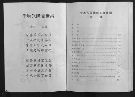 江西周氏族谱-周氏族谱.pdf电子版插图5