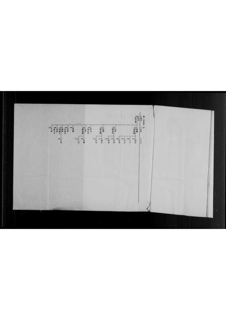 福建李氏族谱-泉州府双溪来台李氏家谱.pdf电子版插图5