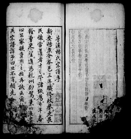 安徽杨氏族谱-新安芳溪杨氏宗支录(休宁芳溪杨氏宗支录).pdf电子版插图5