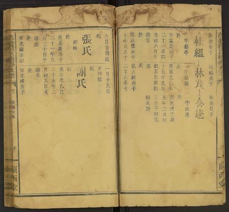 江西杨氏族谱-杨氏支谱 [5卷及卷首](万载杨氏续修支谱).pdf电子版插图5