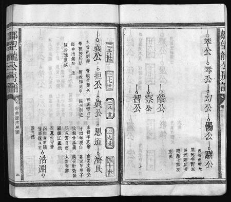 江西邹氏族谱-邹氏九修宗谱 [残卷](邹望龙公房谱).pdf电子版插图5