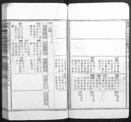 安徽王氏族谱-龙湾王氏宗谱.pdf电子版插图5