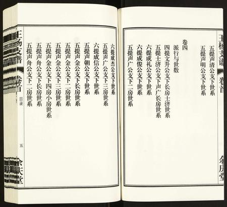 安徽王杨氏族谱-王杨支谱.pdf电子版插图5